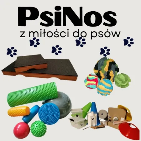 3szt NOSEWORK puszka plastikowa próbki zapachowe psa biodegradowalne 10cm